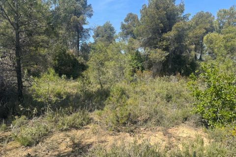 Terra a Cretas, Teruel, Cretas - € 23.000 | Ref: Ahmed - foto 5